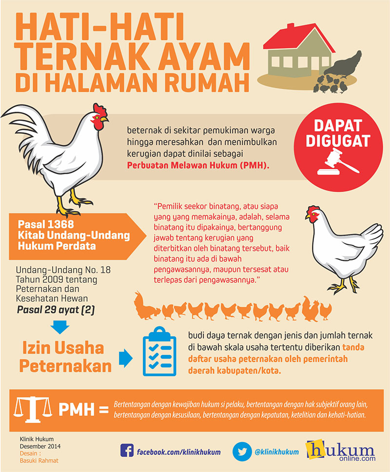 Ini Akibat Hukum Jika Membangun Peternakan Ayam di Lingkungan Rumah