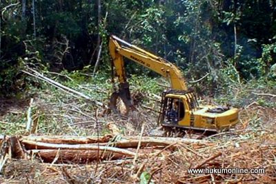 Presiden SBY harus serius jalankan komitmen penyelamatan hutan. Foto: SGP 