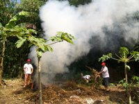 Membuka lahan dengan cara membakar dilarang dalam UU PPLH. Foto: MYS