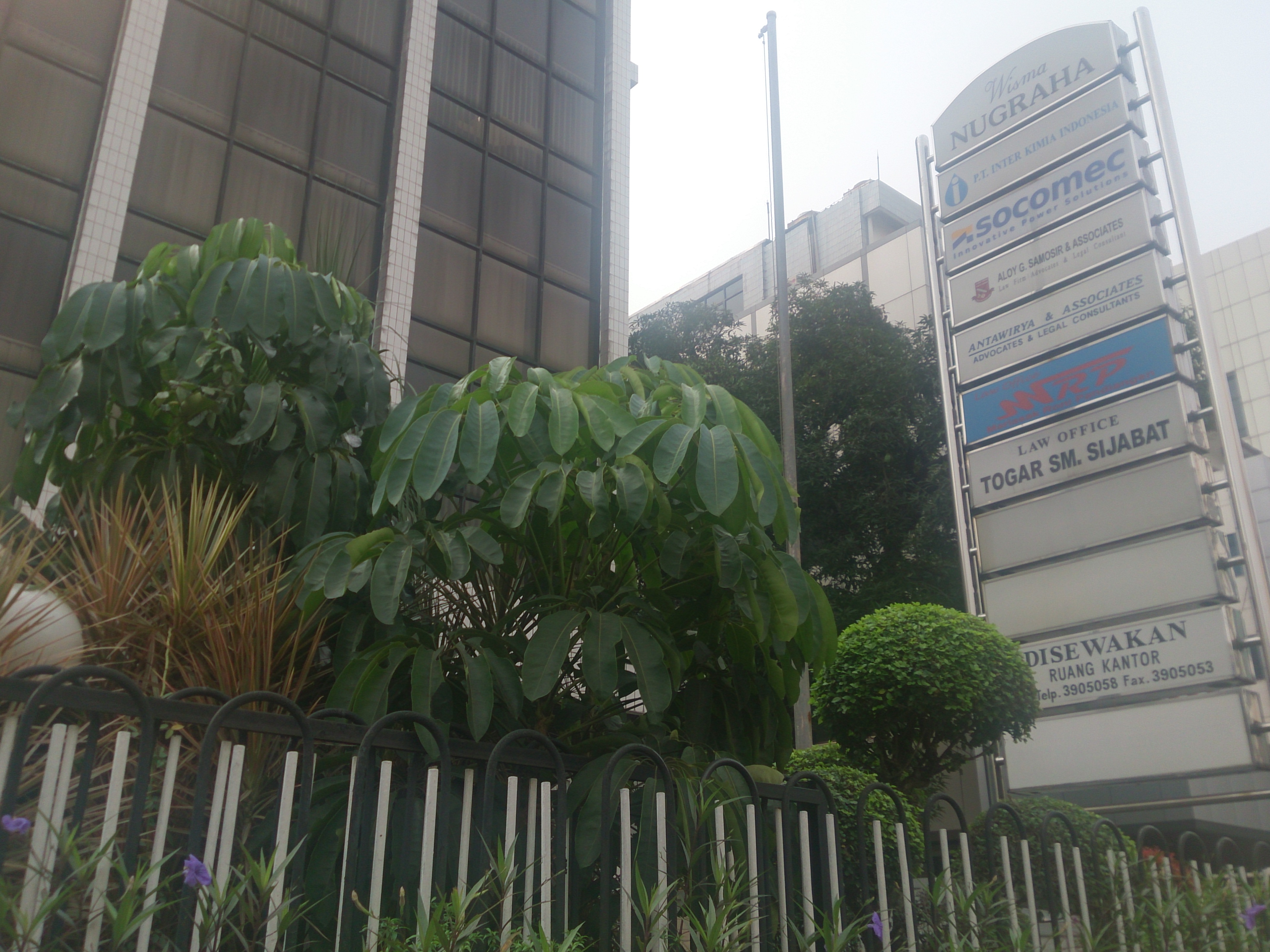 Sejumlah kantor hukum yang terletak di Jalan Raden Saleh. Foto: RIA.