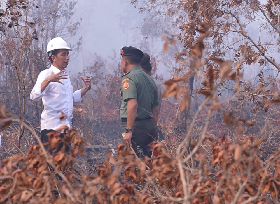 Presiden Jokowi berbincang dengan Panglima TNI Jenderal Gatot Nurmantyo saat meninjau lokasi kebakaran hutan, di OKI, Sumsel, Minggu (6/9). Foto: Setkab RI
