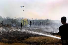 Ilustrasi kebakaran lahan di daerah Sumatera Selatan. Foto: RES