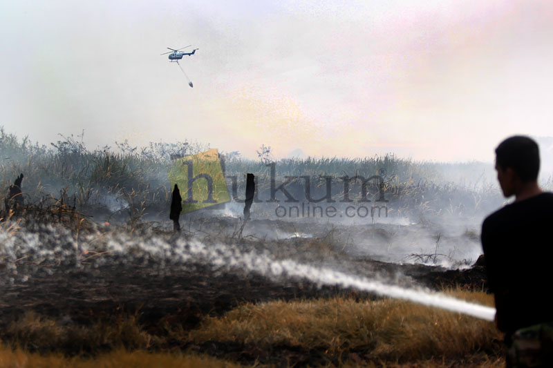 Kebakaran lahan di Sumatera Selatan. Foto: RES