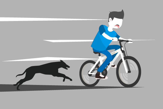Ilustrasi seorang pesepeda diganggu anjing. Ilustrator: HGW