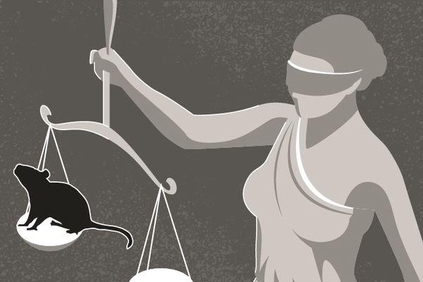 Ilustrasi pencabutan hak politik terdakwa korupsi oleh hakim. Ilustrator: HGW