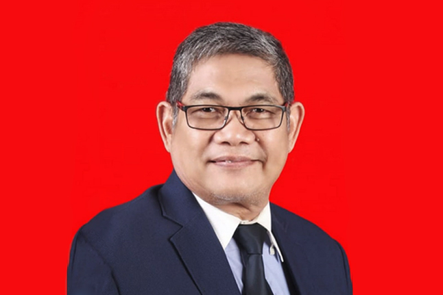 Ketua DPN Peradi, Fauzie Yusuf Hasibuan. Foto: istimewa.