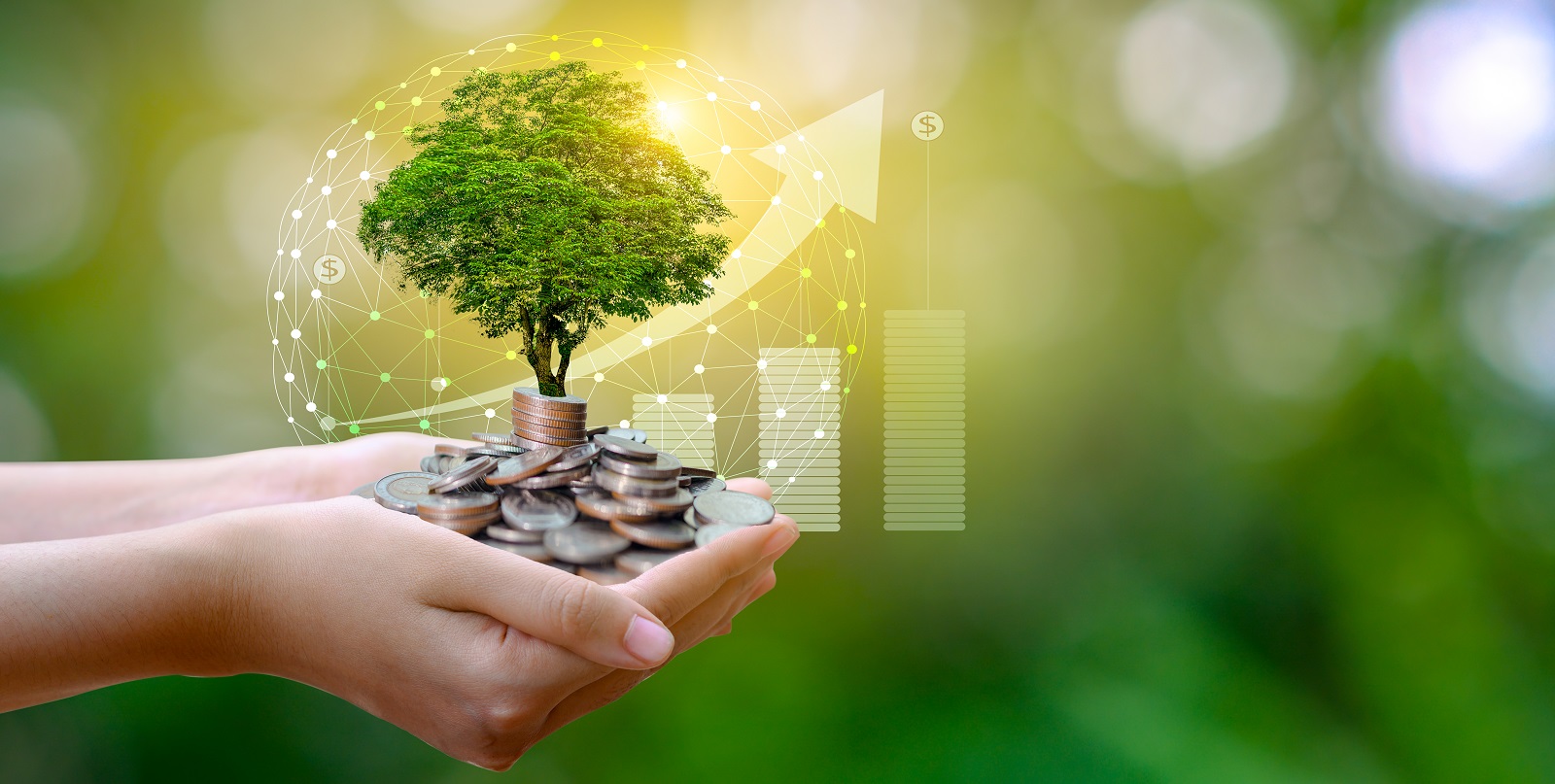 Mengukur Komitmen Nol Net Deforestasi Sektor Keuangan via Green Banking