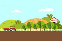 Hanya Disuruh Mengangkut Hasil Hutan Ilegal, Bisakah Sopir Dipidana?