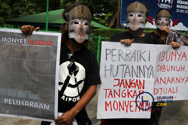 Aksi Damai Menentang perdagangan Monyet 6.jpg