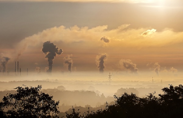Pemerintah Diminta Percepat Pengembangan Pasar Karbon di Indonesia