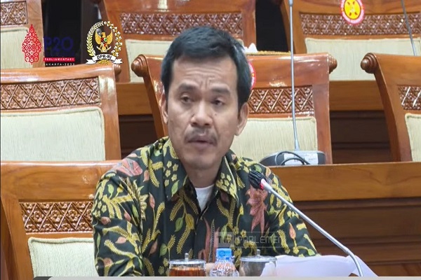 Komisioner Pengkajian dan Penelitian Komnas HAM Saurlin P Siagian. Foto: Tangkapan layar youtube