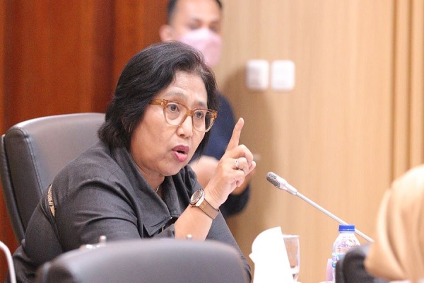 Anggota Komisi IX Irma Suryani Chaniago.Foto: Fraksi Nasdem