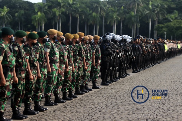 Tentara Nasional Indonesia (TNI). Foto: RES