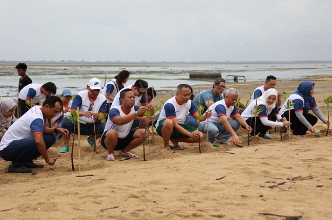 Para personil divisi legal dari sejmlah perusahaan tambang di bawah holding MIND ID menanaman bibit mangrove di Benoa, Jumat (9/8/2024). Foto: MIND ID