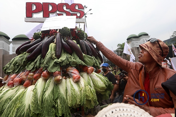 Demonstrasi Hari Tani Nasional di Gedung DPR 5.jpg