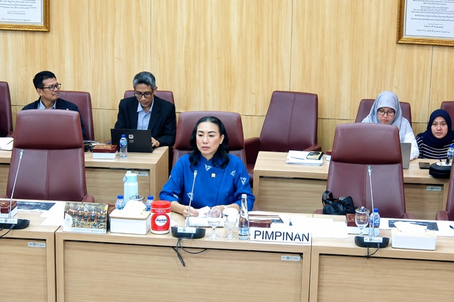 Ketua Pansus RUU Desain Industri DPR, Rahayu Saraswati Djojohadikusumo saat memimpin rapat dengar pendapat dengan pihak Kemendag dan MA di Komplek Gedung Parlemen, Senin (8/6/2026). Foto: Tangkapan layar youtube