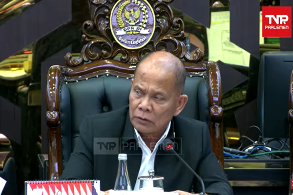 Ketua Panja RUU SDI, Sturman Panjaitan dalam rapat pleno RUU SDI di ruang rapat Baleg DPR, Rabu (15/7/2026) kemarin. Foto: Tangkapan layar youtube