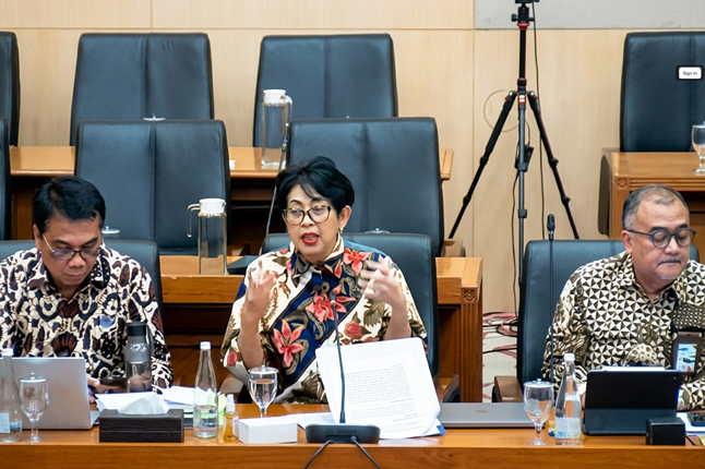 Sekretaris Utama Kementerian Lingkungan Hidup/Badan Pengendalian Lingkungan Hidup, Rosa Vivien Ratnawati (Tengah), saat rapat dengan Komisi XII di Kompleks Gedung Parlemen, Kamis (3/9/2026). Foto: Istimewa